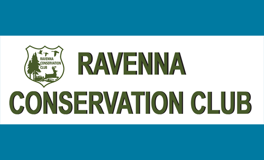 ravenna_conservation